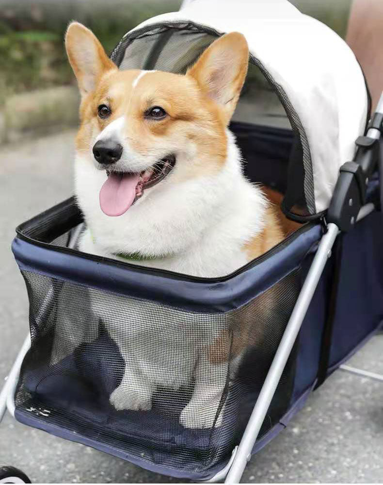 Cat Teddy Outdoor Portable Folding Pet Stroller