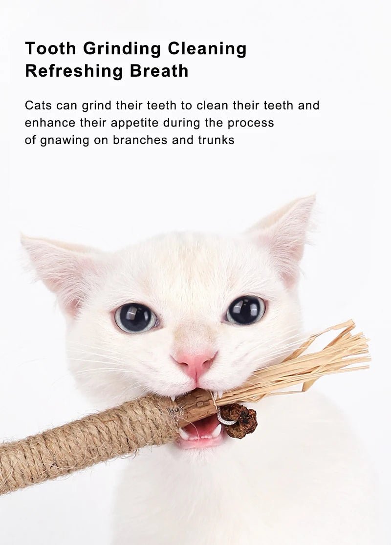 Cat Toys Silvervine Chew Stick for Cleaning Teeth with Silvervine, Hemp, and Lafite Grass