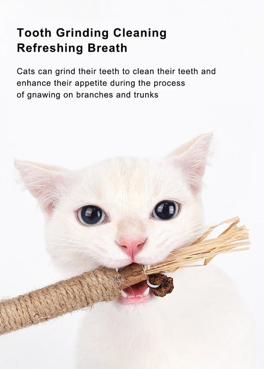 Cat Toys Silvervine Chew Stick for Cleaning Teeth with Silvervine, Hemp, and Lafite Grass