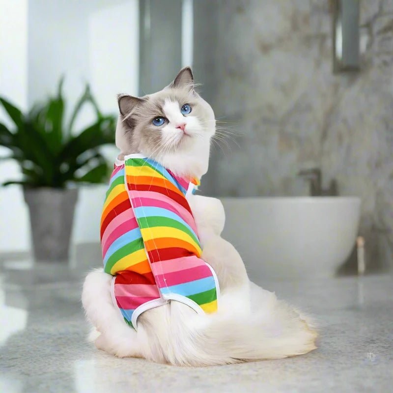 Cat Weaning Anti-lick Sterilization Surgery Recovery Suit