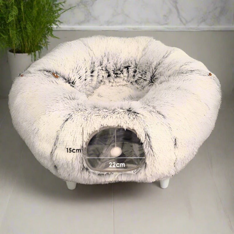 Cat Winter Donut Home