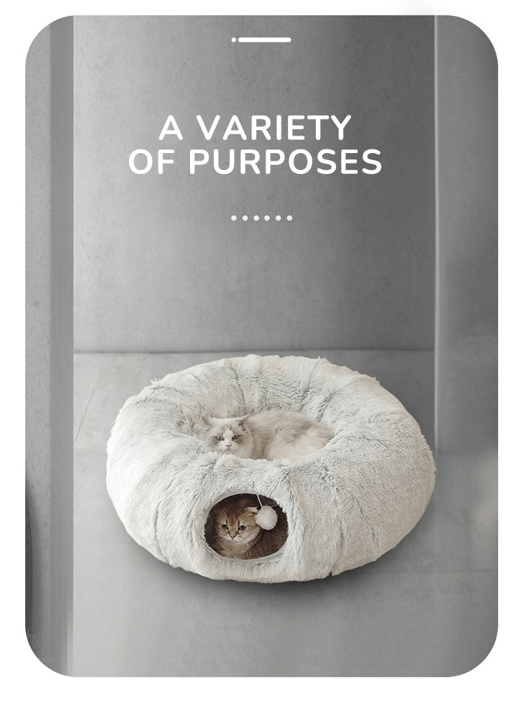 Cat Winter Donut Home