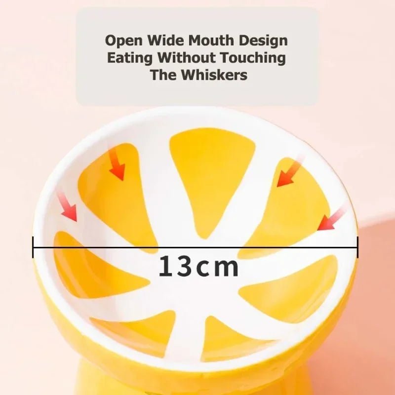 Ceramic Cervical Neck Fruity Cat Bowls