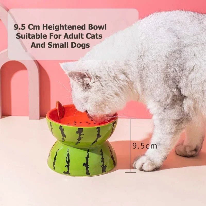 Ceramic Cervical Neck Fruity Cat Bowls