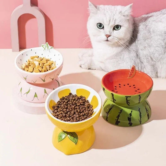 Ceramic Cervical Neck Fruity Cat Bowls