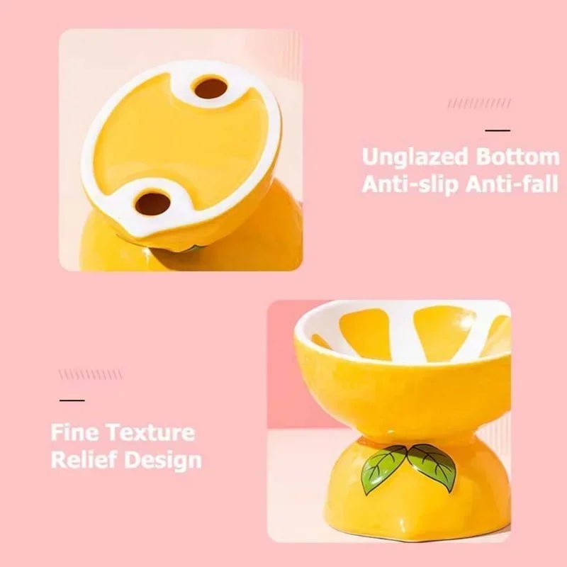 Ceramic Cervical Neck Fruity Cat Bowls