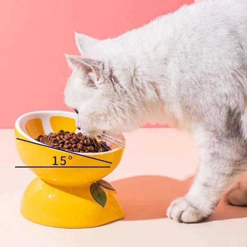 Ceramic Cervical Neck Fruity Cat Bowls