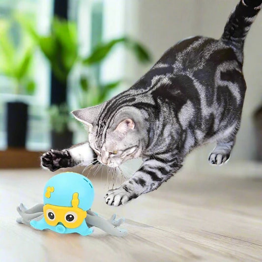 Clockwork Octopus Cat Toy for Land and Water