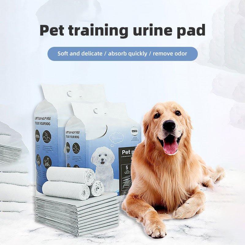 Dog Pee Pads - 4 Sizes
