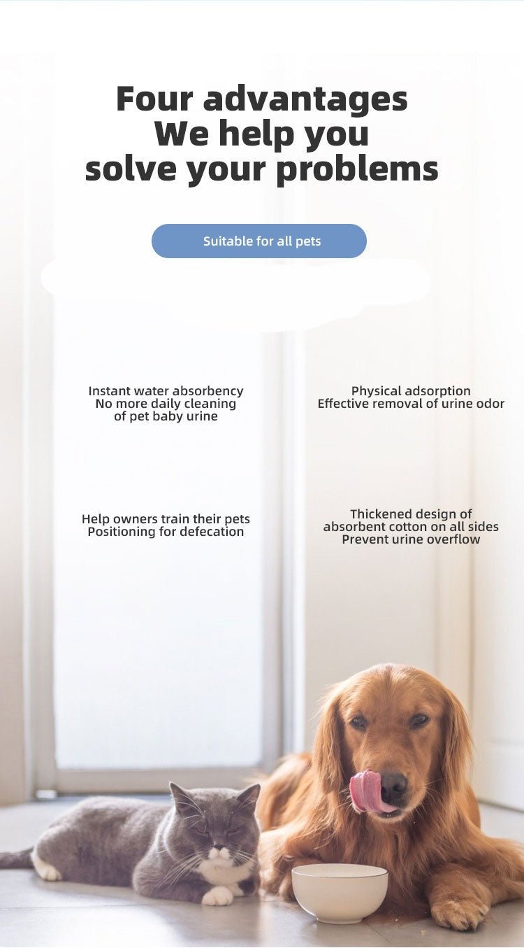 Dog Pee Pads - 4 Sizes