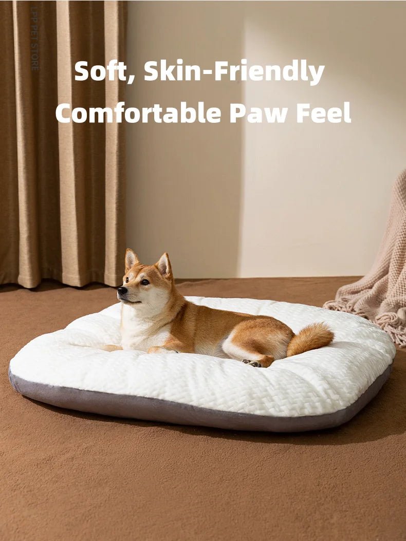 Dog Resting Cloud