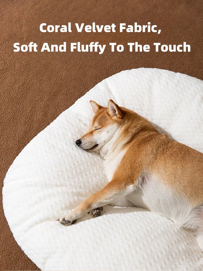 Dog Resting Cloud