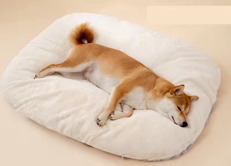 Dog Resting Cloud