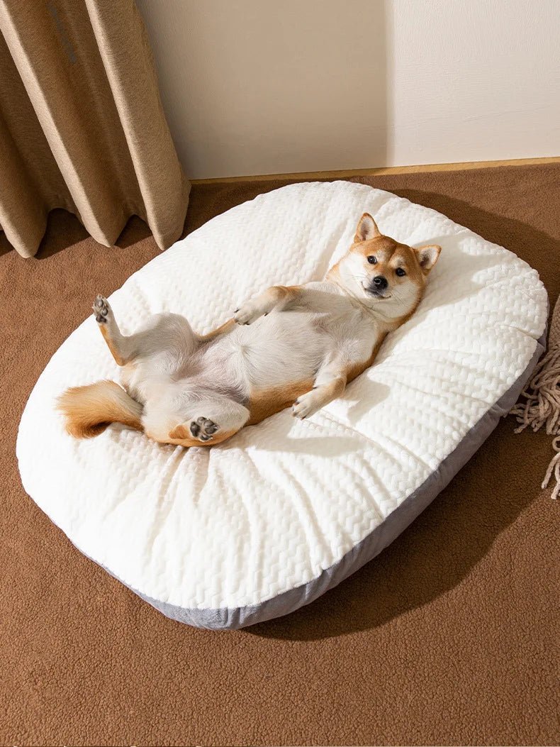Dog Resting Cloud