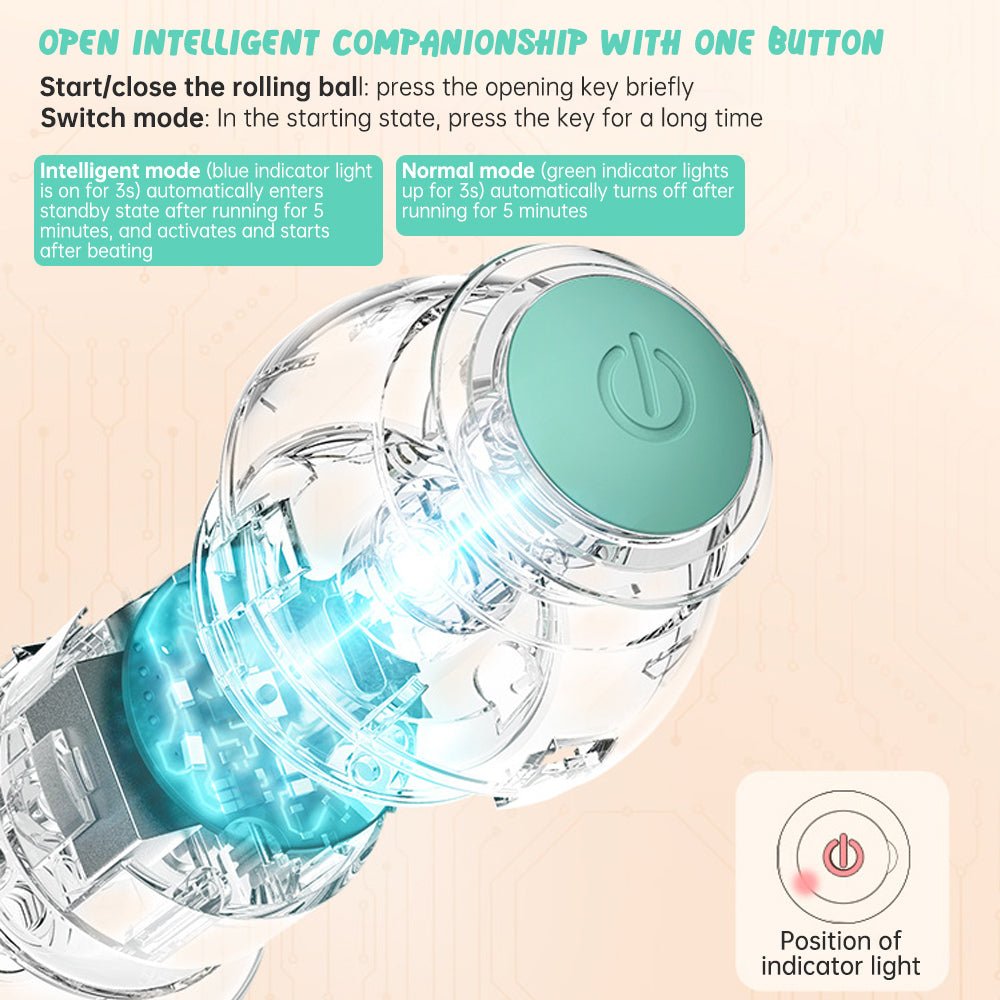 Electric Gravitational Rolling Exercise Ball