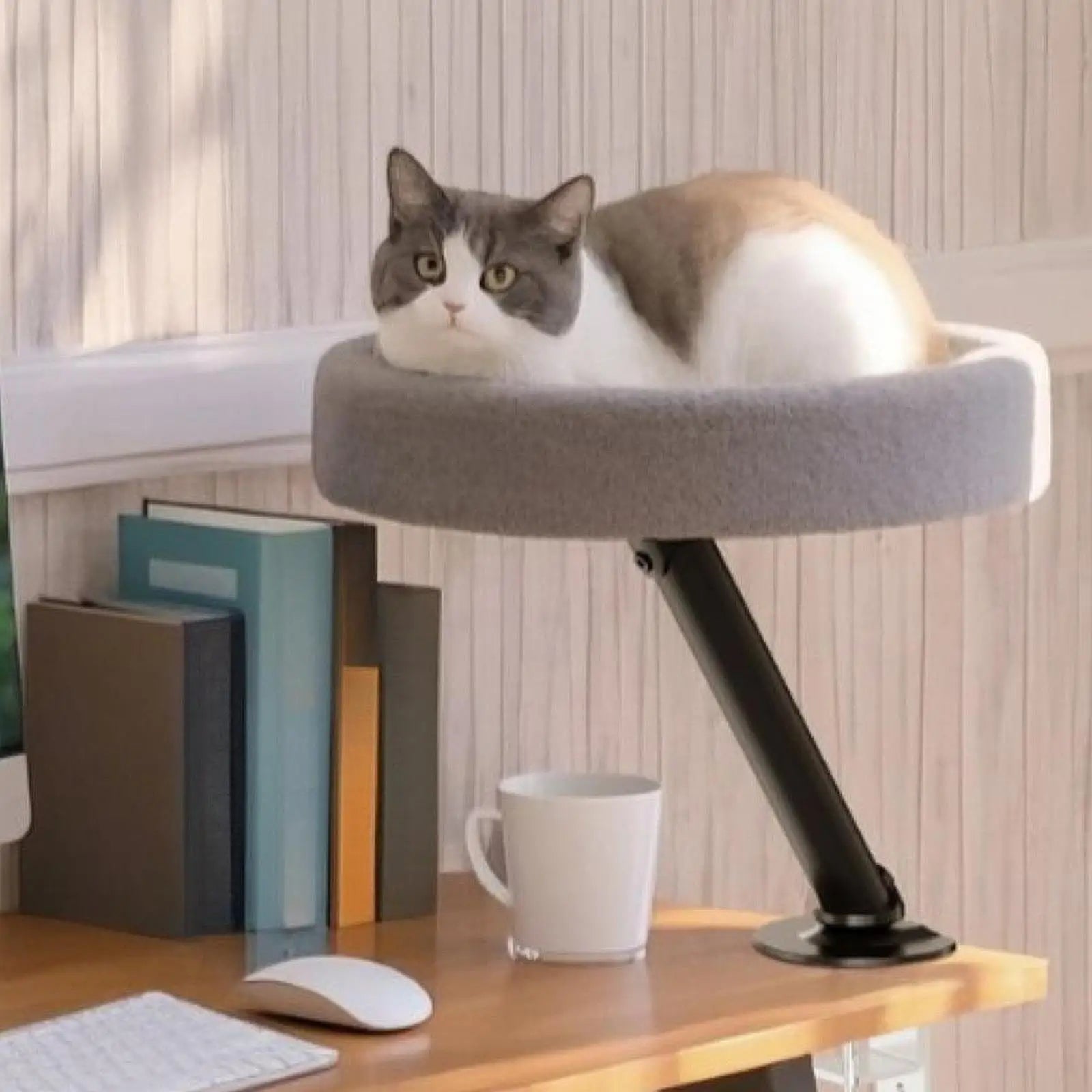 Elevated Study Desk Nest w/ 360° Rotation