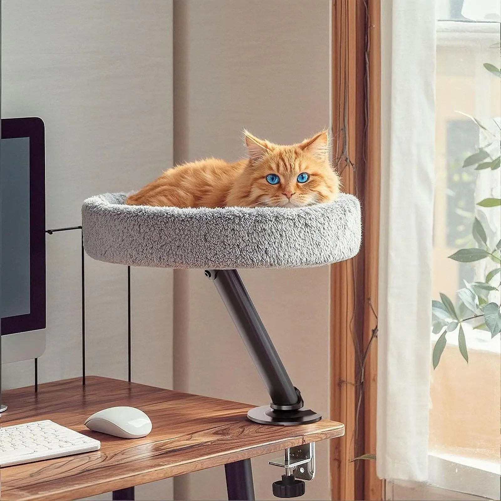 Elevated Study Desk Nest w/ 360° Rotation