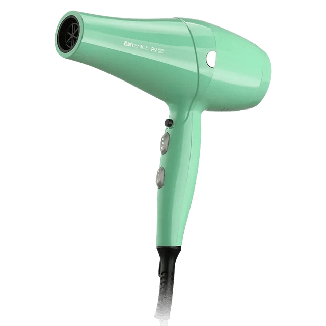 Fenice P9 Pet Hair Dryer (High Power, Silent Dry)