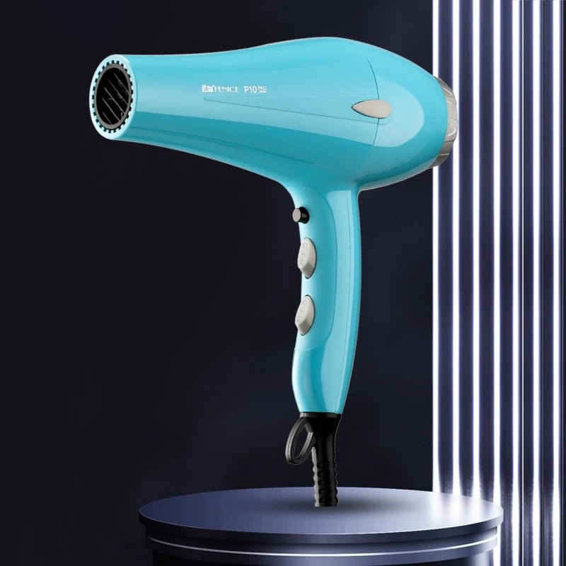 Fenice P9 Pet Hair Dryer (High Power, Silent Dry)