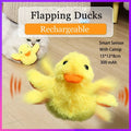  Flapping Duck