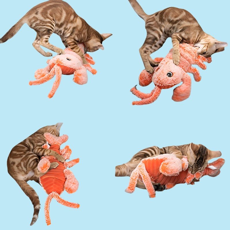 Floppy Lobster Interactive Cat Toy