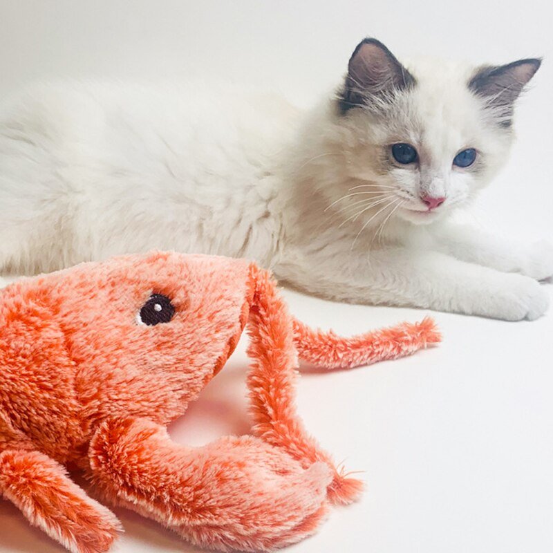 Floppy Lobster Interactive Cat Toy