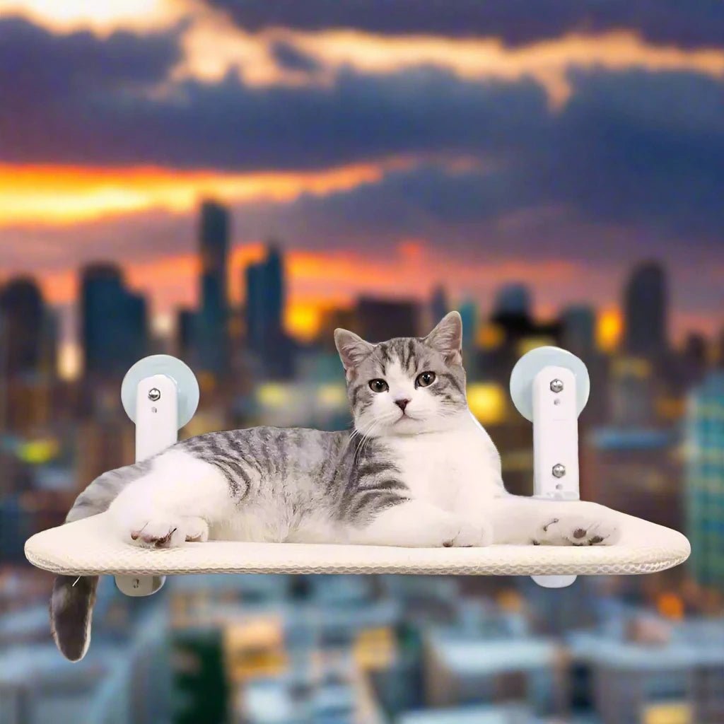 Four Seasons Suction Cat Nest Hammock