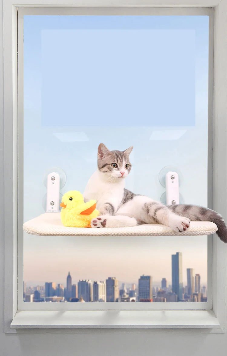 Four Seasons Suction Cat Nest Hammock