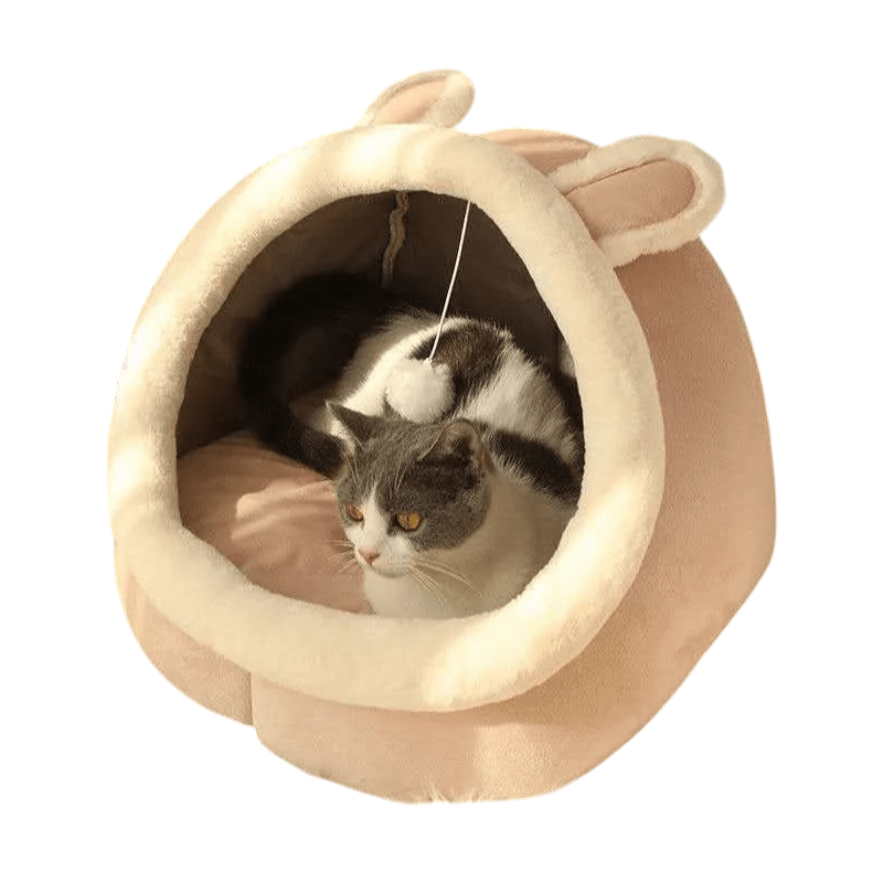 Froggy-Bunny-Kitty Pet Cove