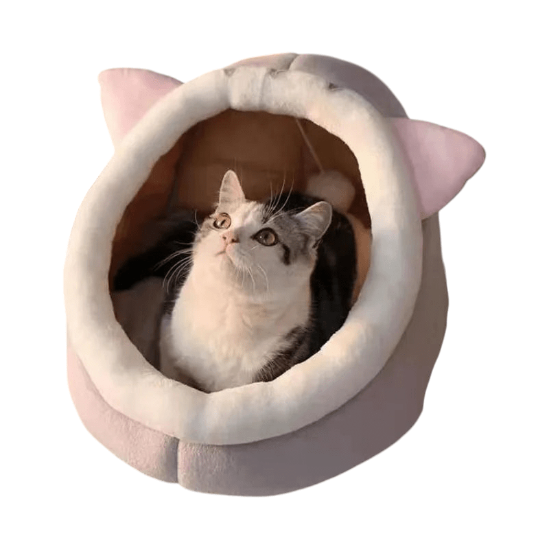 Froggy-Bunny-Kitty Pet Cove