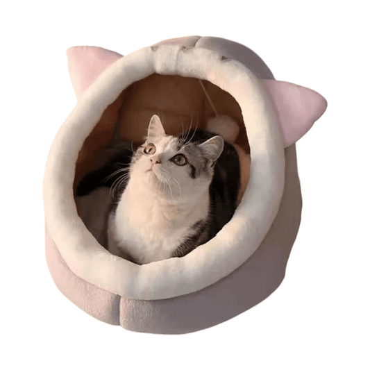 Froggy-Bunny-Kitty Pet Cove