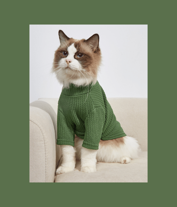 Green Small Plaid Pet Sweater