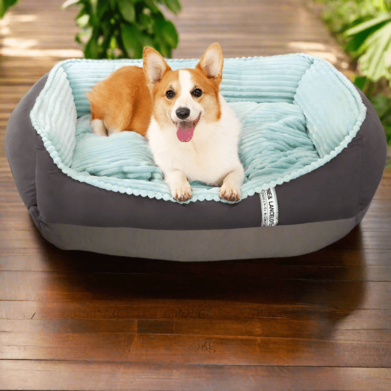 HOOPET Pet Dog Bed Winter Warm for Cats and Small Dogs