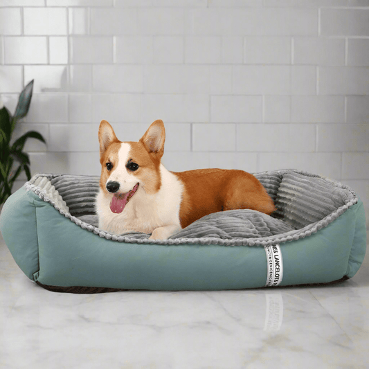 HOOPET Pet Dog Bed Winter Warm for Cats and Small Dogs