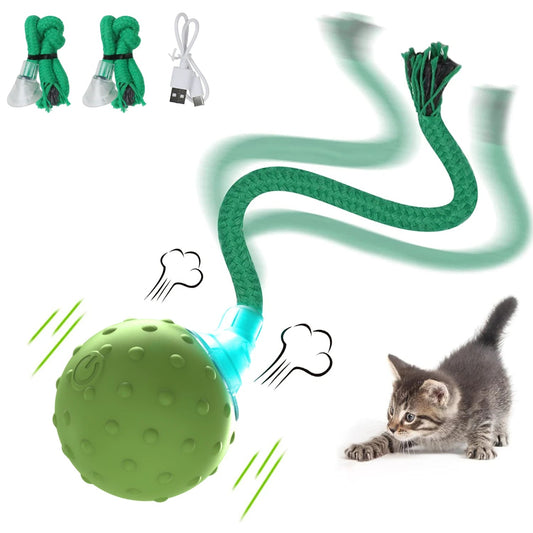 Interactive Motion Activated Ball Toy with Tail Teaser & Bird Chirping Sound