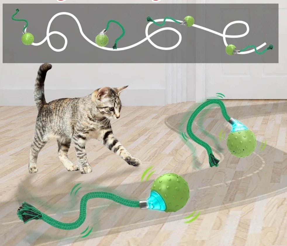 Interactive Motion Activated Ball Toy with Tail Teaser & Bird Chirping Sound