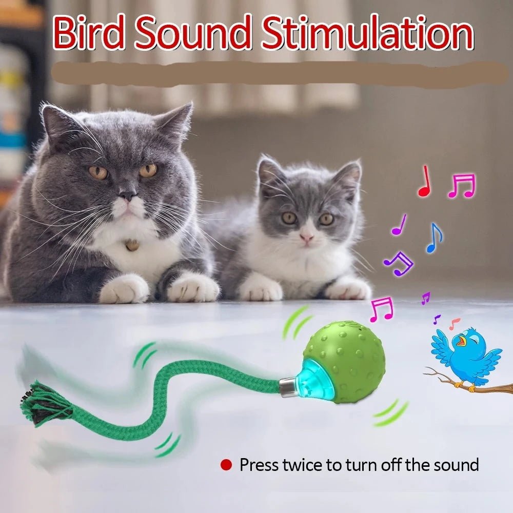 Interactive Motion Activated Ball Toy with Tail Teaser & Bird Chirping Sound