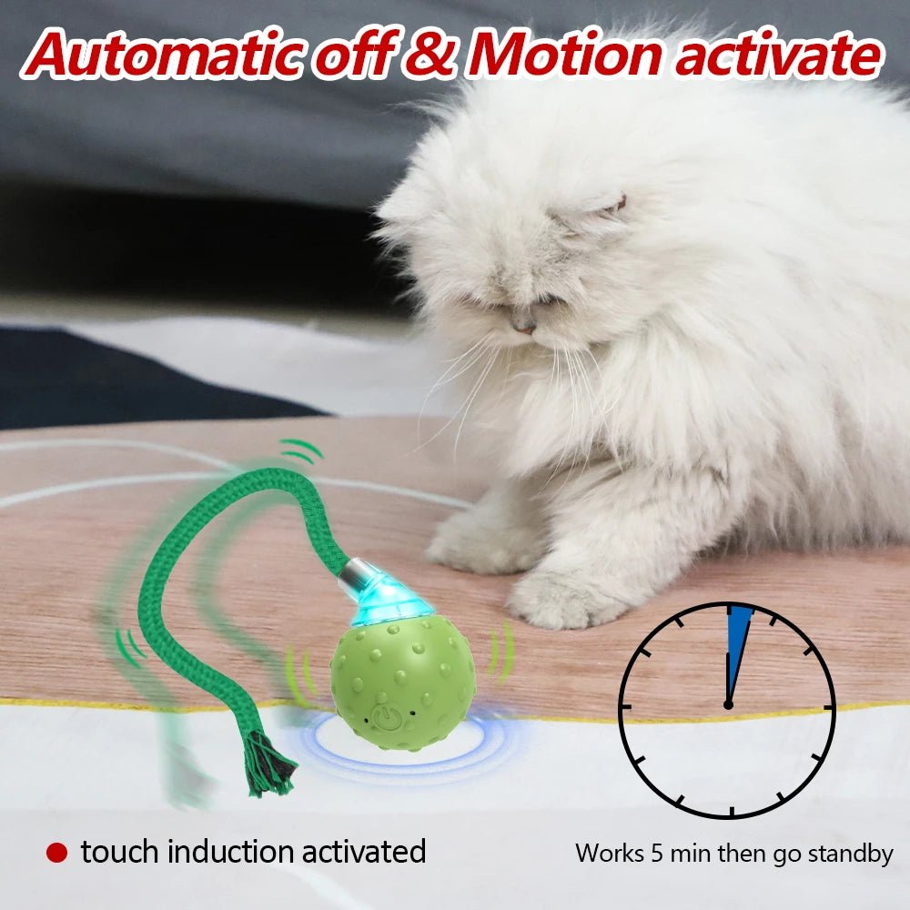 Interactive Motion Activated Ball Toy with Tail Teaser & Bird Chirping Sound