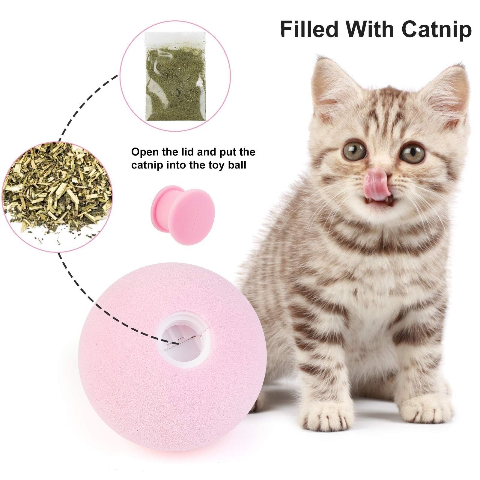 Interactive Touch Play Animal Sounds Catnip Lid Toy