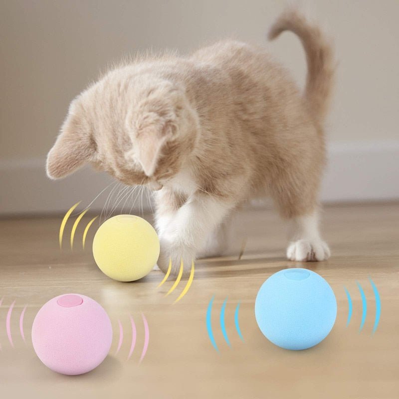 Interactive Touch Play Animal Sounds Catnip Lid Toy