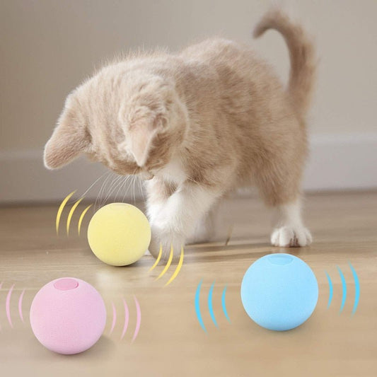 Interactive Touch Play Animal Sounds Catnip Lid Toy