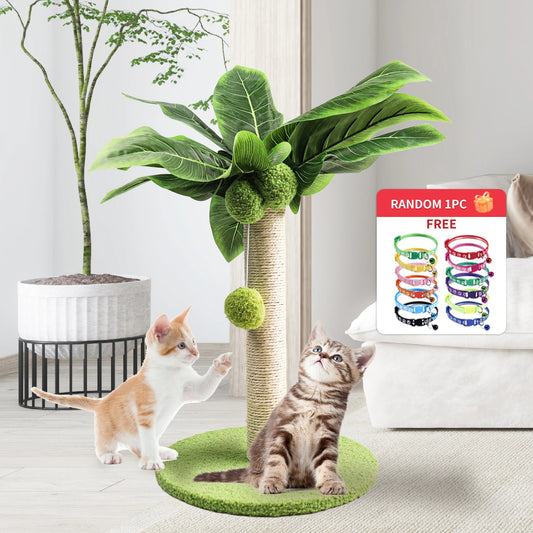 Kitten Coconut Tree Scratching Post w/ Coconut Sisal Balls