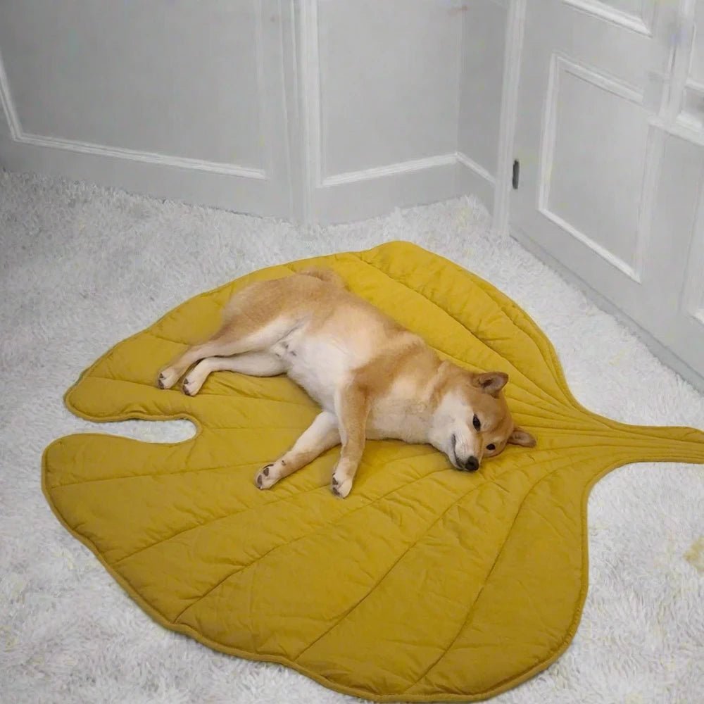 Leaf Shape Pad and Blanket