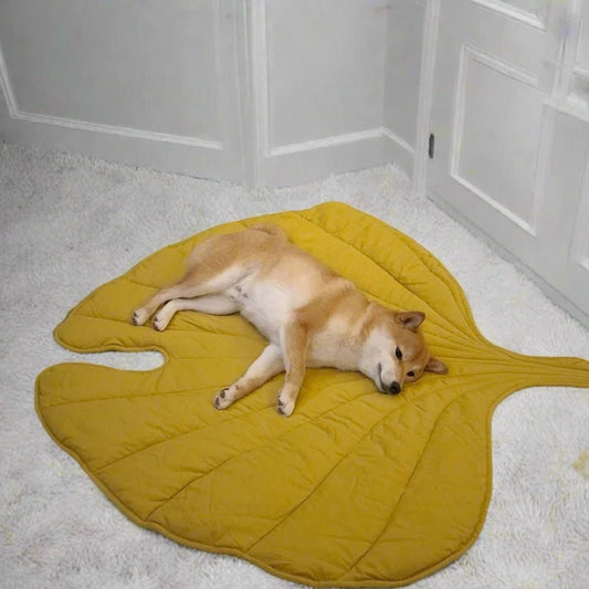 Leaf Shape Pad and Blanket