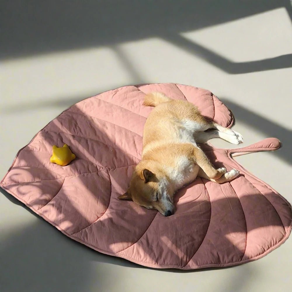 Leaf Shape Pad and Blanket