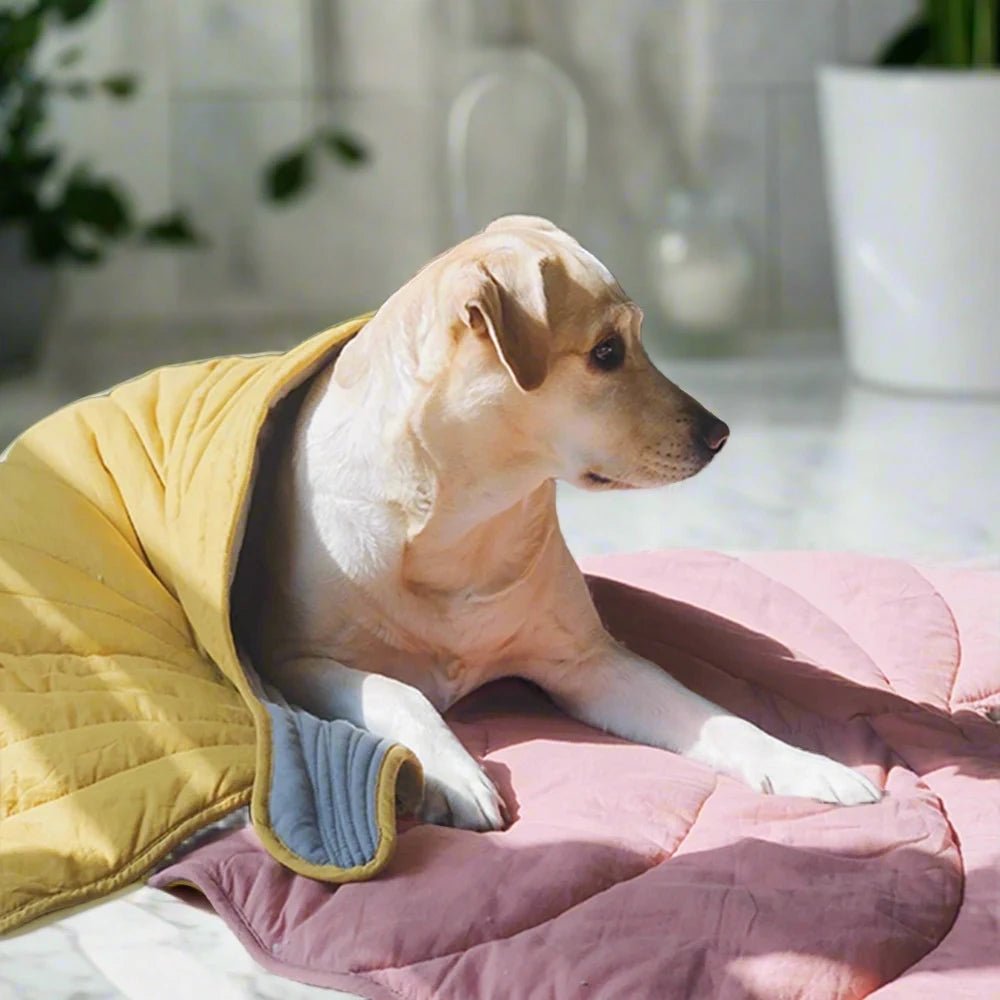 Leaf Shape Pad and Blanket