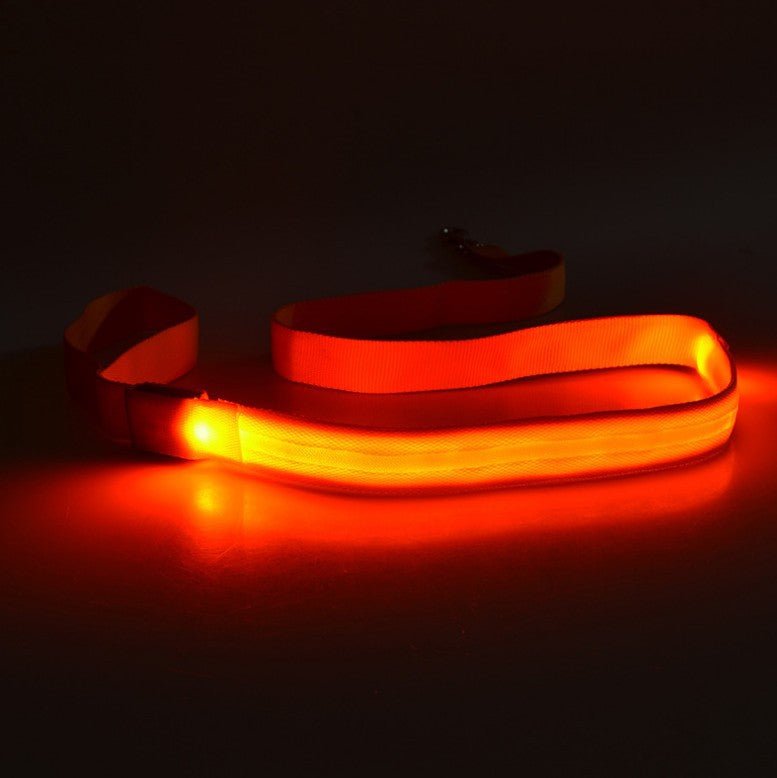 LED Light-Emitting Cat Leash (120cm / Length = 6 Colors)