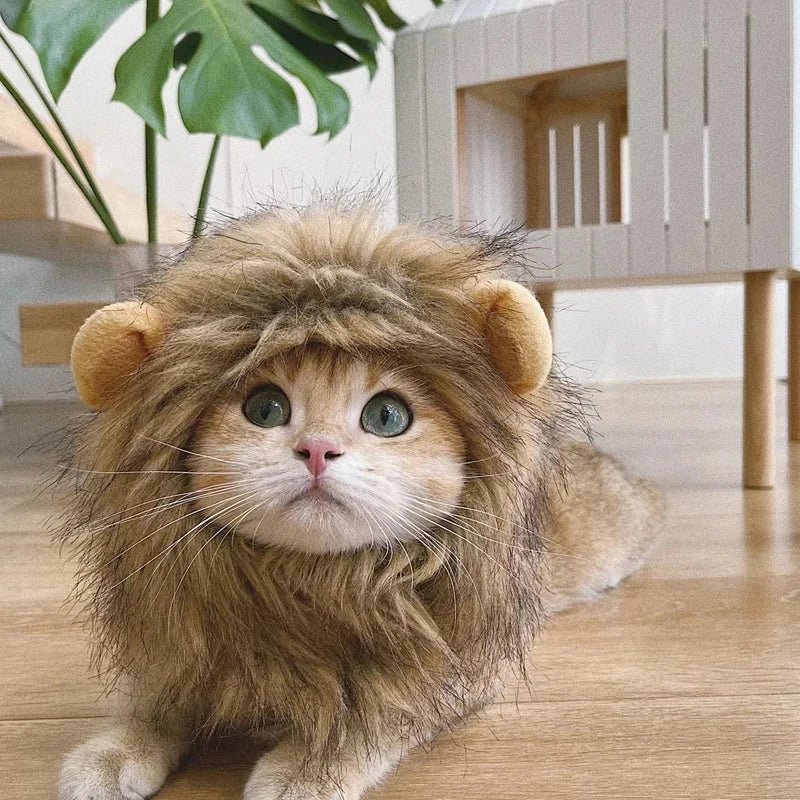 Lion Mane Wig for Cats