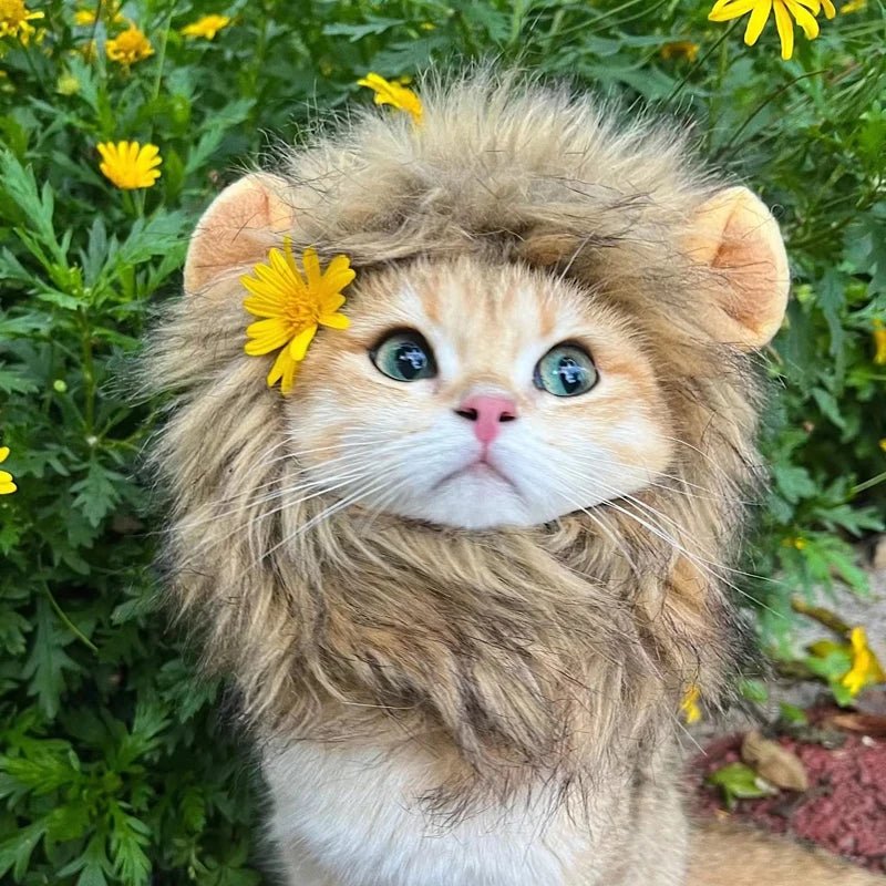 Lion Mane Wig for Cats