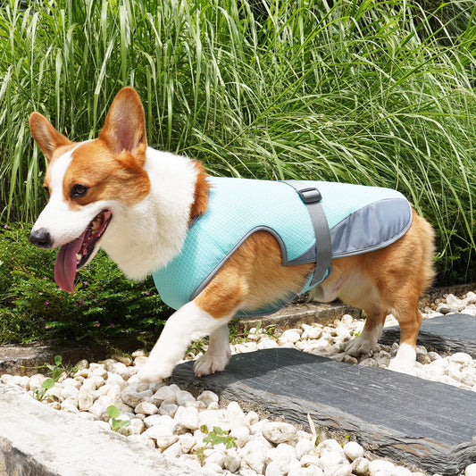 Mesh Heat Dissipation Cooling Dog Vest